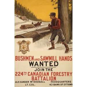 World War I Poster   Bushmen and sawmill hands wanted. Join the 224th 