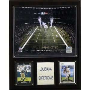  New Orleans Saints Louisiana Superdome Stadium 12x15 