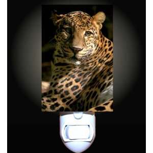  Sunlit Leopard Decorative Night Light