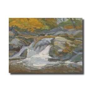 Trout Stream Giclee Print 