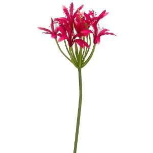  Faux 40 Nerine Lily Spray Two Tone Beauty (Pack of 6 