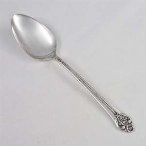  Plantation by 1881 Rogers, Silverplate Tablespoon (Serving 