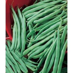  Bean, Greencrop Bush 1 Pkt. (2 oz.)