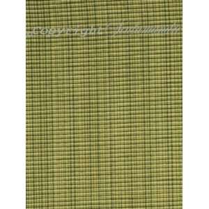  Scalamandre Oakley   Cyan Striae On Green Fabric Arts 