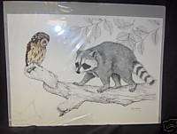 Original Steve Leonardi Wildlife Art Raccoon and Owl  