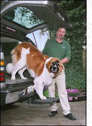 Otto Step Dog Pet Ramp SUV Pick Up Truck Van Hitch  