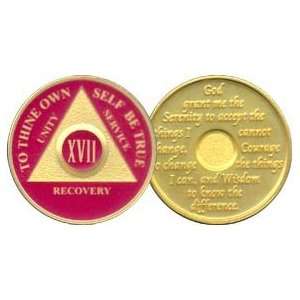  17 Year 24K Gold Plated AA Birthday   Anniversary Recovery 