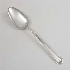  Prelude Sugar Spoon