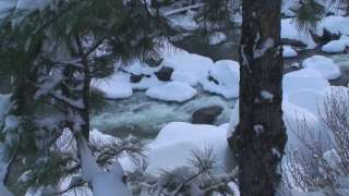 DVD Relaxation Winter Wilderness Snowy Mountain Scenes  