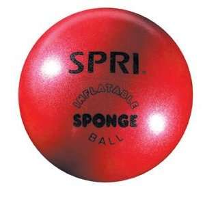  Gaiam SPRI Sponge Ball