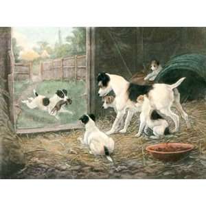 Credit to his Family, A Etching Berkeley, Stanley Animals, Dogs Birds 