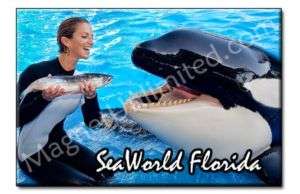 SeaWorld Orlando Shamu Show Florida Souvenir Magnet #1  