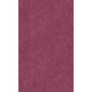  Wine Tissue Reams  20 X 30   480 Sheets Health 