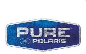 Polaris Snowmobile 6.25 60 Degree Pro Ski Carbide Skag (Set of 2 