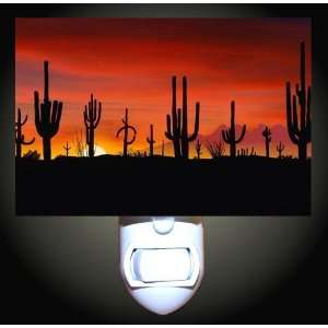  Desert Cacti Sun Decorative Night Light