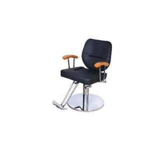  fys 155 Salon Styling Chair