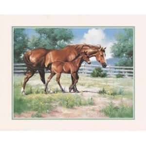  Jack Sorenson   Horse And Colt Canvas
