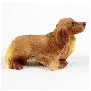 Miniature Dachshund