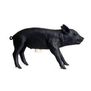 Areaware Pig Bank, Limited Edition Toys & Games