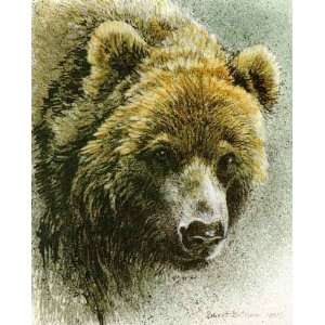   Grizzly Bear Portrait Predator Portfolio Hand Colored