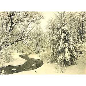   Cards; Winter Scene in Fairmount Park, Philadelphia 