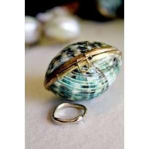  Seashell Emerald Green Jewelry Box Perfect for a Beach Wedding 