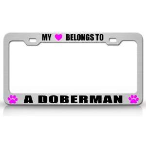 MY HEART BELONGS TO A DOBERMAN Dog Pet Steel Metal Auto License Plate 