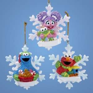Club Pack of 24 Sesame Street Character Christmas Ornaments for 