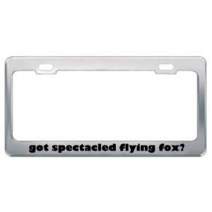 Got Spectacled Flying Fox? Animals Pets Metal License Plate Frame 