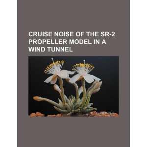   model in a wind tunnel (9781234092665) U.S. Government Books