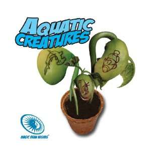    Magic Bean Wishes Aquatic Creatures Planter Kit Toys & Games
