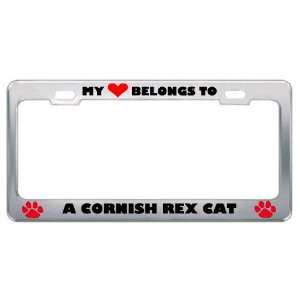 My Heart Belongs To A Cornish Rex Cat Animals Pets Metal License Plate 