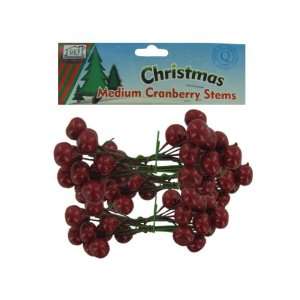  Bulk Pack of 48   6 pack small cranberry stems (Each) By 