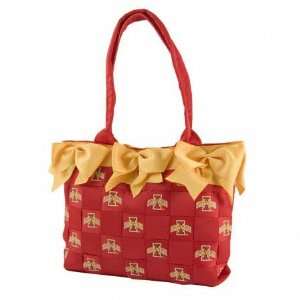  Iowa State Cyclones Large Bow Bucket Purse Sports 