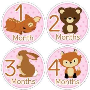  Animals Baby Month Stickers for Bodysuit #36pink Baby