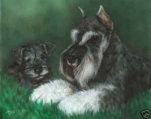 Schnauzer and Pup Note Cards  
