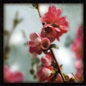   Blossoms III Poster by Sue Schlabach (18.00 x 18.00)
