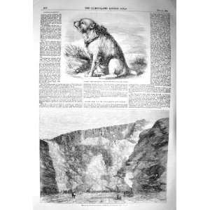  1856 SANDY CRIMEA DOG SAPPERS BLASTING HOLYHEAD WALES 