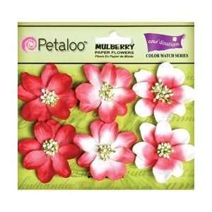  Petaloo Darice Camelia Mulberry Paper Flowers 6/Pkg Cardnl 