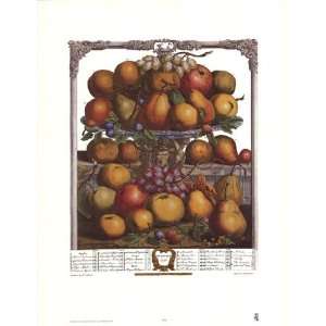    Twelve Months of Fruits, 1732/December by Robert Furber 17x22 Baby