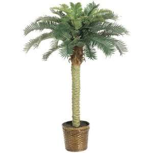  4 Phoenix Palm Tree in Basket Green (Pack of 2)