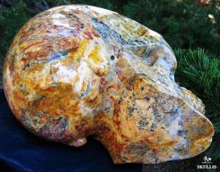 Quartz Rock Crystal Skull