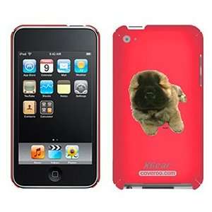  Chow Chow Puppy on iPod Touch 4G XGear Shell Case 