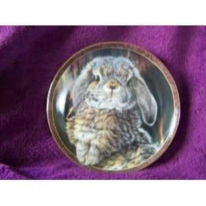 1998 Bradford Exchange Bunny Tales Collectible Plate Quite and Earful 
