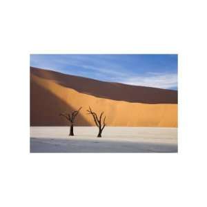   , Namibia Giclee Poster Print by Andy Biggs, 14x11