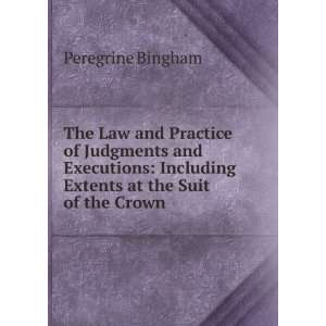   extents at the suit of the crown Peregrine Bingham  Books