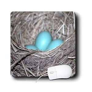   Turner Photography   Robin Eggs in a Nest   Mouse Pads Electronics