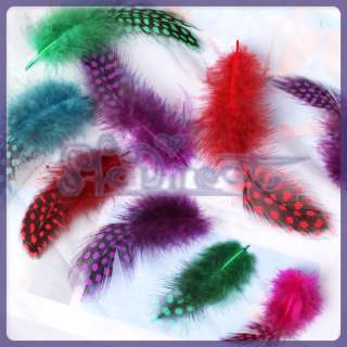 Lot 50 ASSORTED dyed GUINEA HEN FEATHER hat fascinator Craft decor 