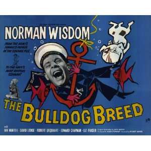  The Bulldog Breed Movie Poster (11 x 14 Inches   28cm x 