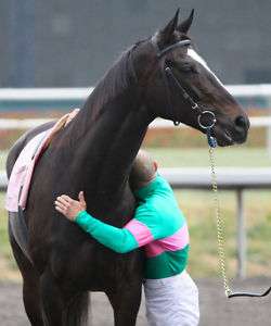 ZENYATTA 16*20 PHOTO Hollywood Park FAREWELL MY QUEEN  